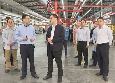 王鋒率隊開展暖企行動 以技術交流促當家產業升級，夯實實體經濟高質量發展根基